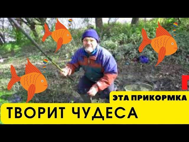 Этой чудо прикормкой Вы соберёте всю рыбу что есть в округе на зависть конкурентам