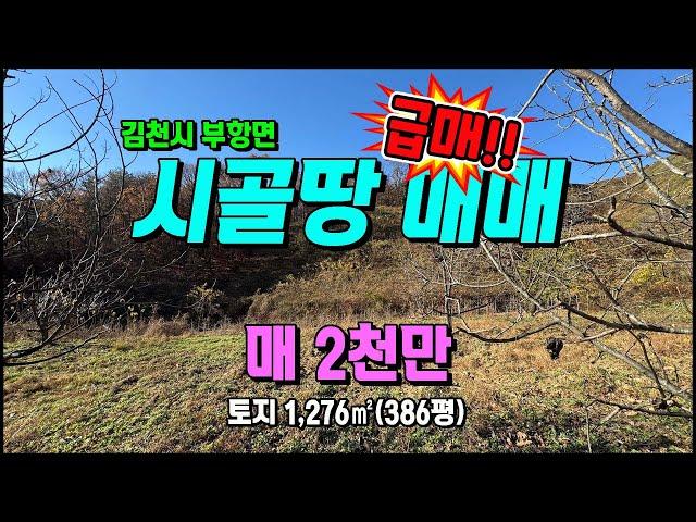 김천토지매매 파천리 과수원(호두나무) 주말농장 시골싼땅매매