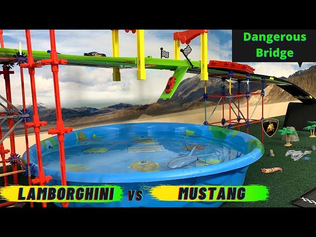 Hot Wheels Shark Bridge | race !