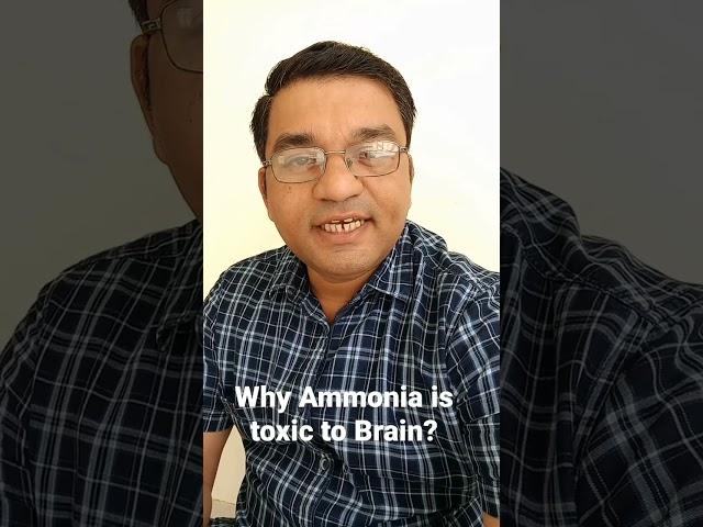 Why Ammonia is toxic to brain?