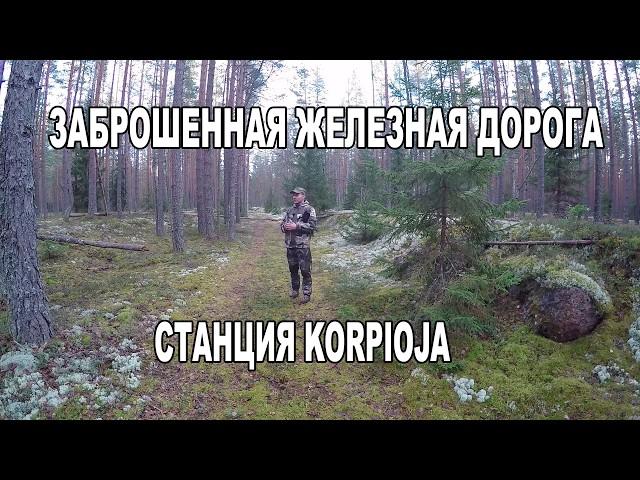 Забытая ЖД станция Корпиоя в лесу. Заброшенная железная дорога Выборг - Вещево – Мичуринское