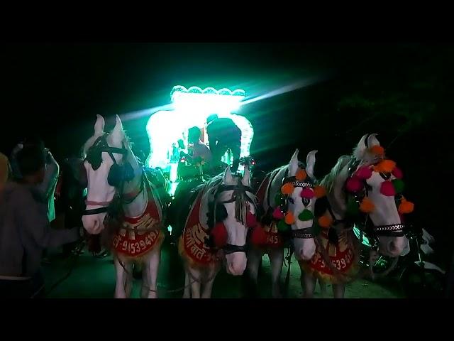 4 White Horse Baggi sahu g D.j band sipri bazar jhansi 9076963536   8808636774