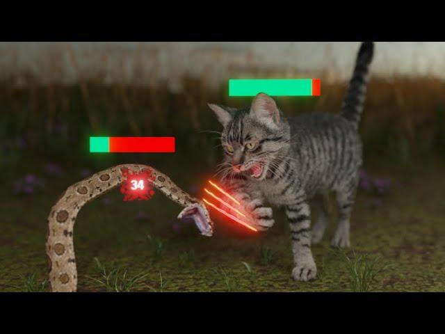 How Cats Broke The Game