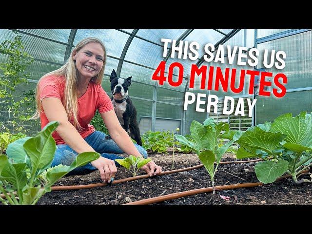 Installing a DRIP LINE Irrigation System in our Greenhouse - HUGE Time Saver!!