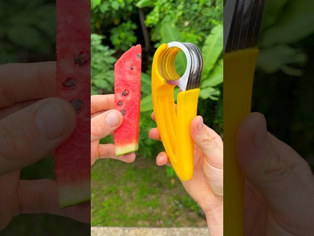 The end is so satisfying 