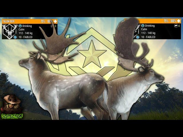 We Got 2 Great One Fallow Deer In Under 800 Kills! Plus A Great One Fallow Guide! Call of the wild