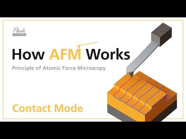 Contact Mode | How AFM Works - Principle of Atomic Force Microscopy