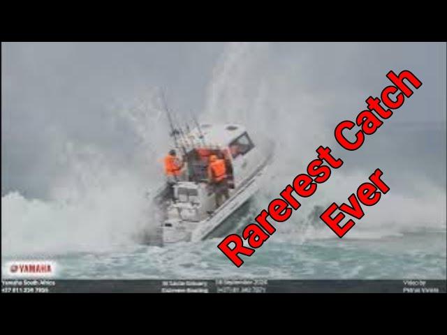 Extreme Boating - 18 September 2024 - Rarest Catch Yet