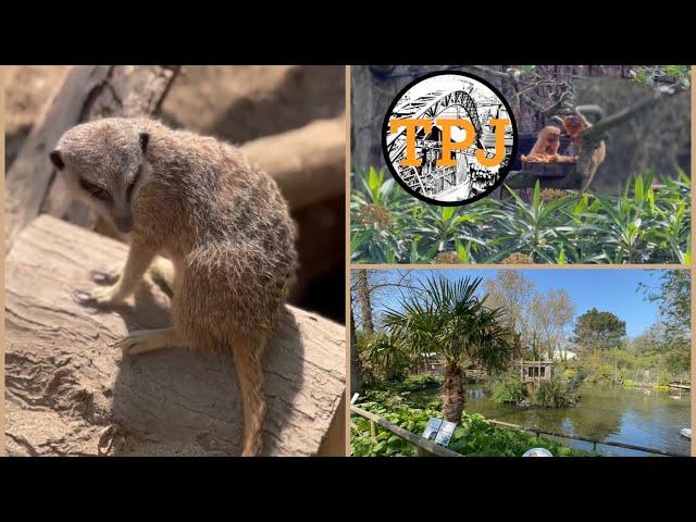 Everything There is to See at Newquay Zoo | Full Walkthrough