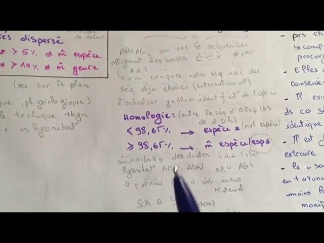 Systématique : 2 em chapitre ( L3 microbiologie ) 