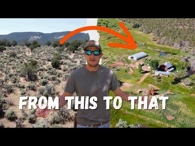 Regenerative Farm in the High Desert growing trees and cows