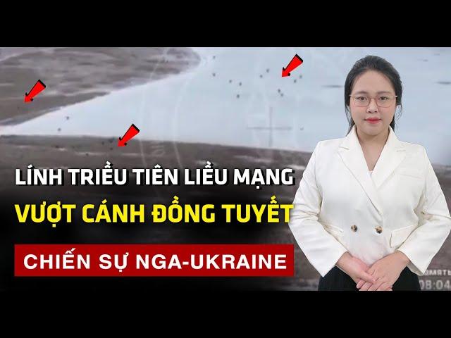 Chiến sự căng thẳng ở Donetsk, Ukraine rút lui ở khu vực rừng và tiến công ở thành phố