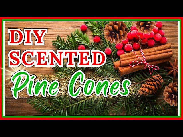 EASY DIY Cinnamon Scented Pine Cones That Smell Absolutely AMAZING