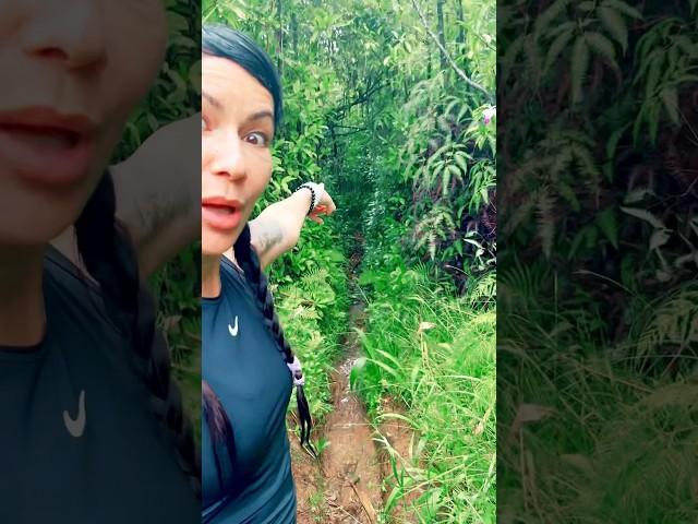 Hawaii adventure ️🫶