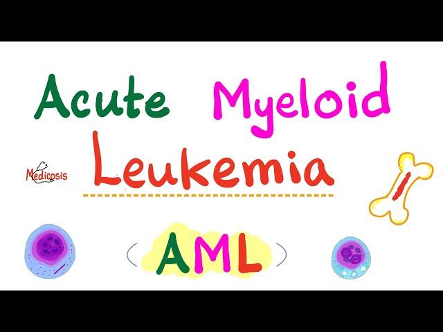 Acute Myeloid Leukemia (AML) - Auer Rods - Myeloperoxidase Positive - Hematology & Oncology Series