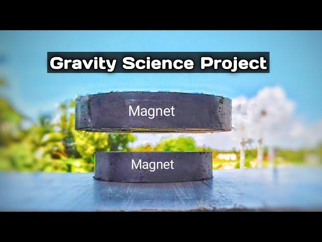 Magnet Trick | Gravity Science Project At Home | #shorts Magnet Toy |