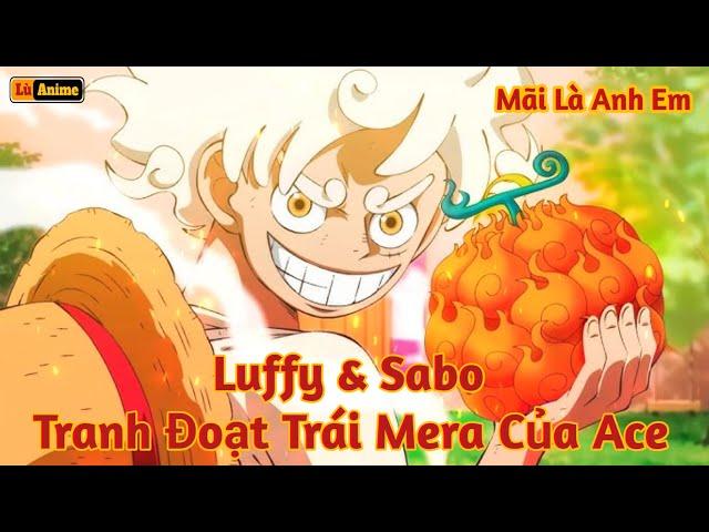 [Lù Rì Viu] One Piece Sabo & Luffy Tranh Đoạt Trái Mera Của Ace Hoả Quyền ||Review one piece