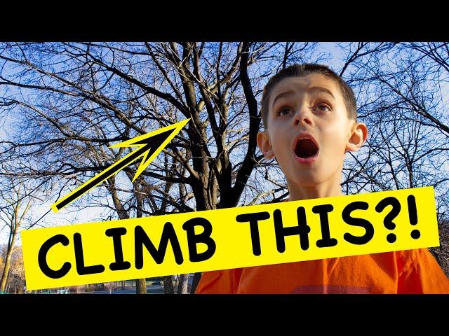 TREE CLIMBING BASICS FOR KIDS - How to Climb a Tree for Beginners!