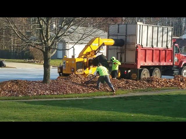 Where have I been? | Who would have thought leaf pickup was so exciting to watch?   | What's next?