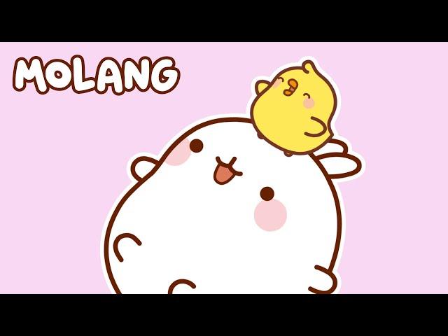 ALL the Season of Molang and Piu Piu  Kitoons New Friends | Funny Cartoons in English