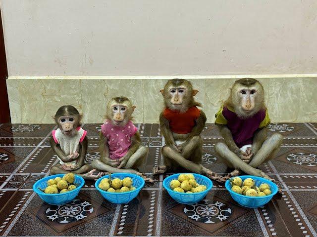 4 Siblings Sit Meditating Very Calmly Waiting Mom To Come & Join Them Dessert Treat ,