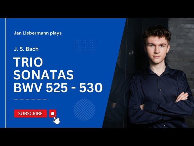 Bach: Complete performance of the six trio sonatas BWV 525 - 530 | Jan Liebermann (live)