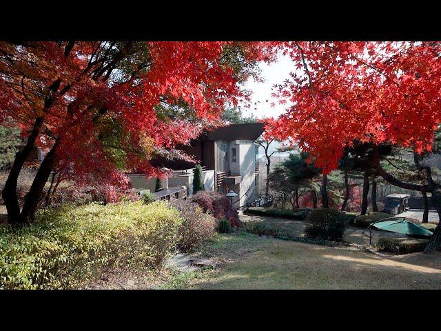 [내부 최초 공개] 6000평 단독주택, 가을의 끝자락에 다시 한번 가봄! | Revealed for the first time inside, a detached house