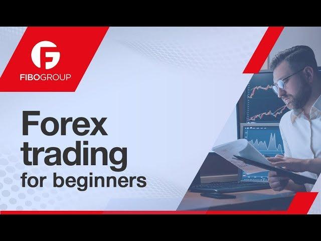 Forex trading for beginners | FIBO group