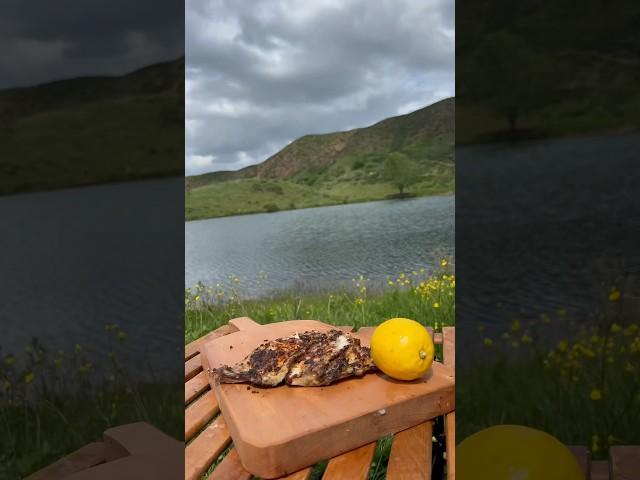 Doğada çupra ızgarası  Sea bream grill in nature #doğa #balık #food #kamp #cooking #camping