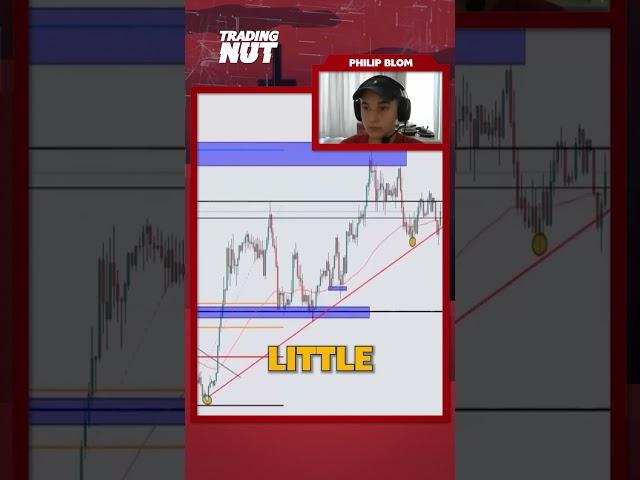 15 Yr Old Fx Trader Reads Chart Like a Pro #shorts