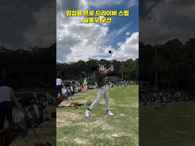 장타대회 7번 우승자! 엄성용 프로 드라이버 스윙 슬로우 모션