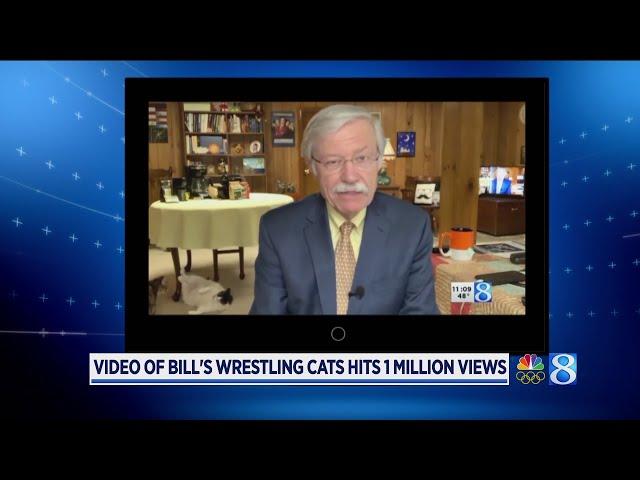 Video of Bill's wrestling cats hits 1 million views