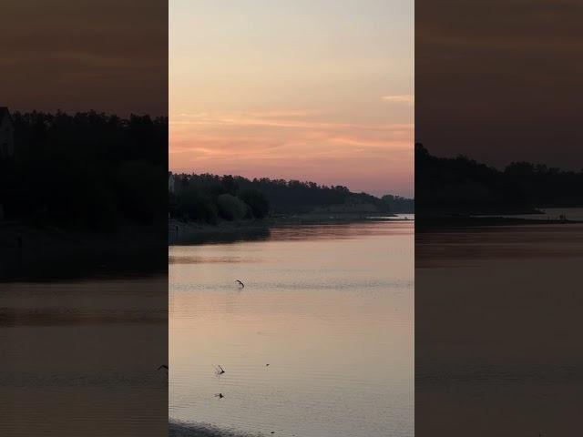 https://t.me/travelgoonavtoford #путешествия #крым #travel #природа #sunset #закат #море #россия