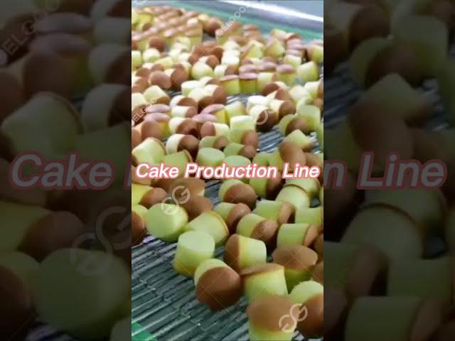 Industrial Cake Making Machine for Cup Cake Business