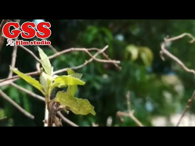 New Hindi song hit song GSS film studio