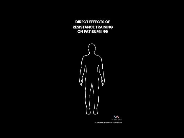 Resistance Training and Fat Burning | #shorts with Dr. Andrew Huberman