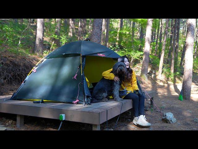 Solo backpacking trip into the quiet deep forest