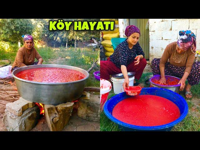 KÖY EVİMİZ Organik Doğal Domates Salça Yapımı