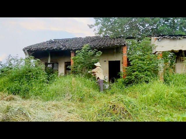 Weeds Growing Everywhere ~ This Genius Man Cleans and Renovates Old House into a Wonderful Place