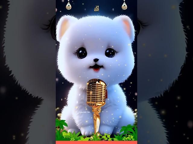 Pahla kalma tayyab  Cute Cat Naat  #muhammadﷺ #shorts #muhammad