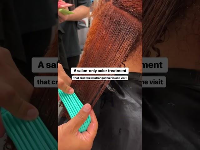 Experience our new salon-only Botanical Repair color and professional services | Aveda