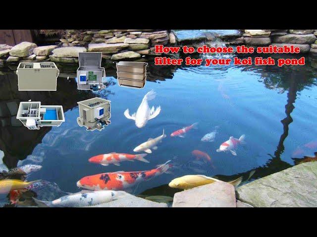 How to choose the suitable pond filter for your koi fish pond