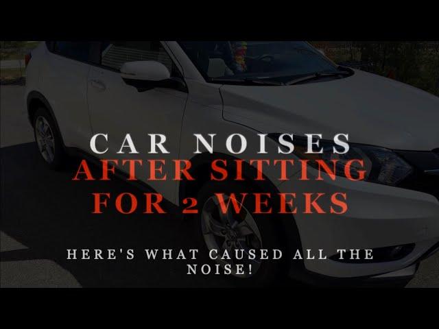 Car Noises After Sitting For 2 Weeks