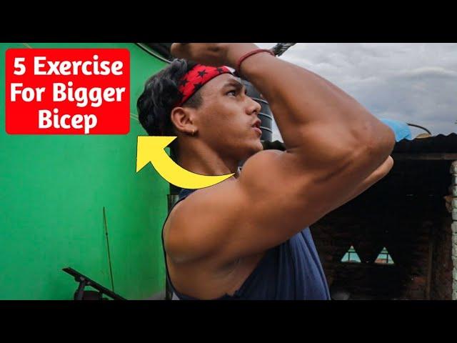 5 exercise for bigger biceps - Biceps workout at home | Anish Fitness