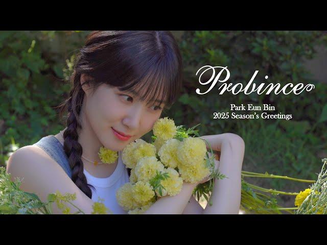 박은빈 2025 SEASON'S GREETINGS [Probince] Teaser Video