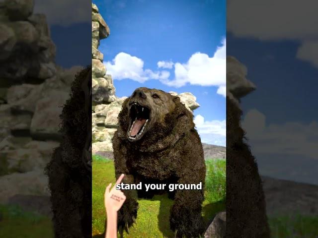 How To Escape A Grizzly Bear Attack 