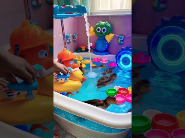 “Total Tub Takeover by the Duck Crew ” #duck #shorts #viralvideo #cute #funny #yt #ytshorts #yt