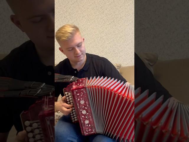 Казачий романс️ #гармонь #баян #гармонист #баянист #folk #folkmusic #топ #музыка #music