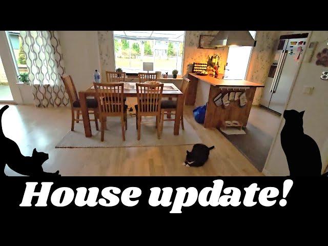 Small house update, thoughts and future plans!