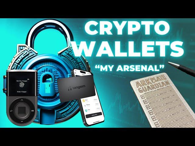 What Should You Consider? Crypto Wallets | TANGEM & D’CENT Review + Asset Recovery Plate